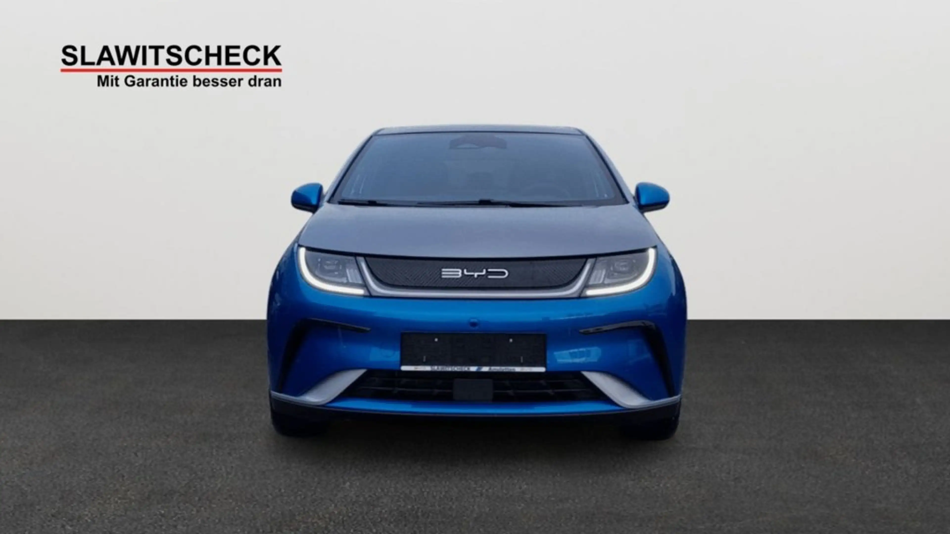 BYD Dolphin Design — photo 6