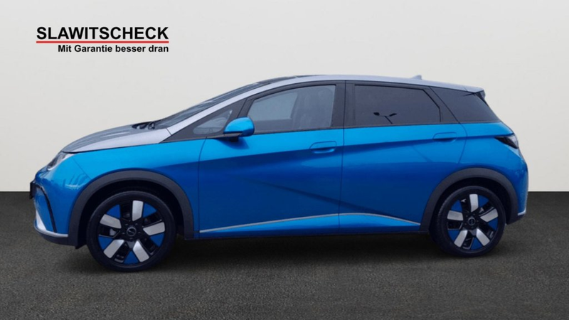 BYD Dolphin Design — photo 2