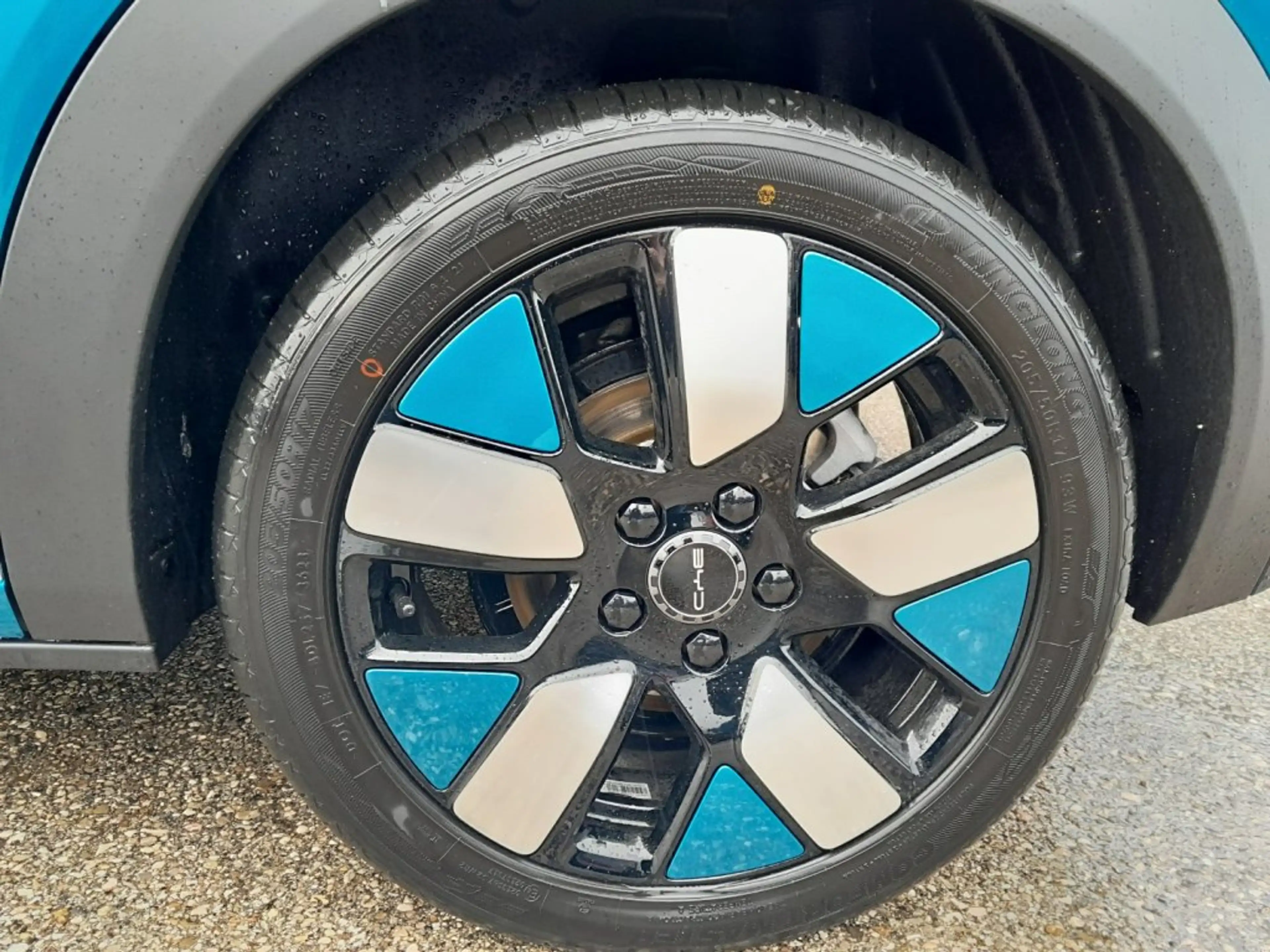 BYD Dolphin Design — photo 7