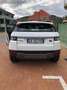 Land Rover Range Rover Evoque 5p 2.2 td4 Dynamic 150cv Bílá - thumbnail 3