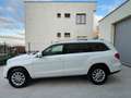 Mercedes-Benz GL 350 GL 350 BlueTEC 4MATIC Aut. Biały - thumbnail 6