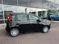 Fiat Panda FireFly 70 Hybrid Schwarz - thumbnail 3