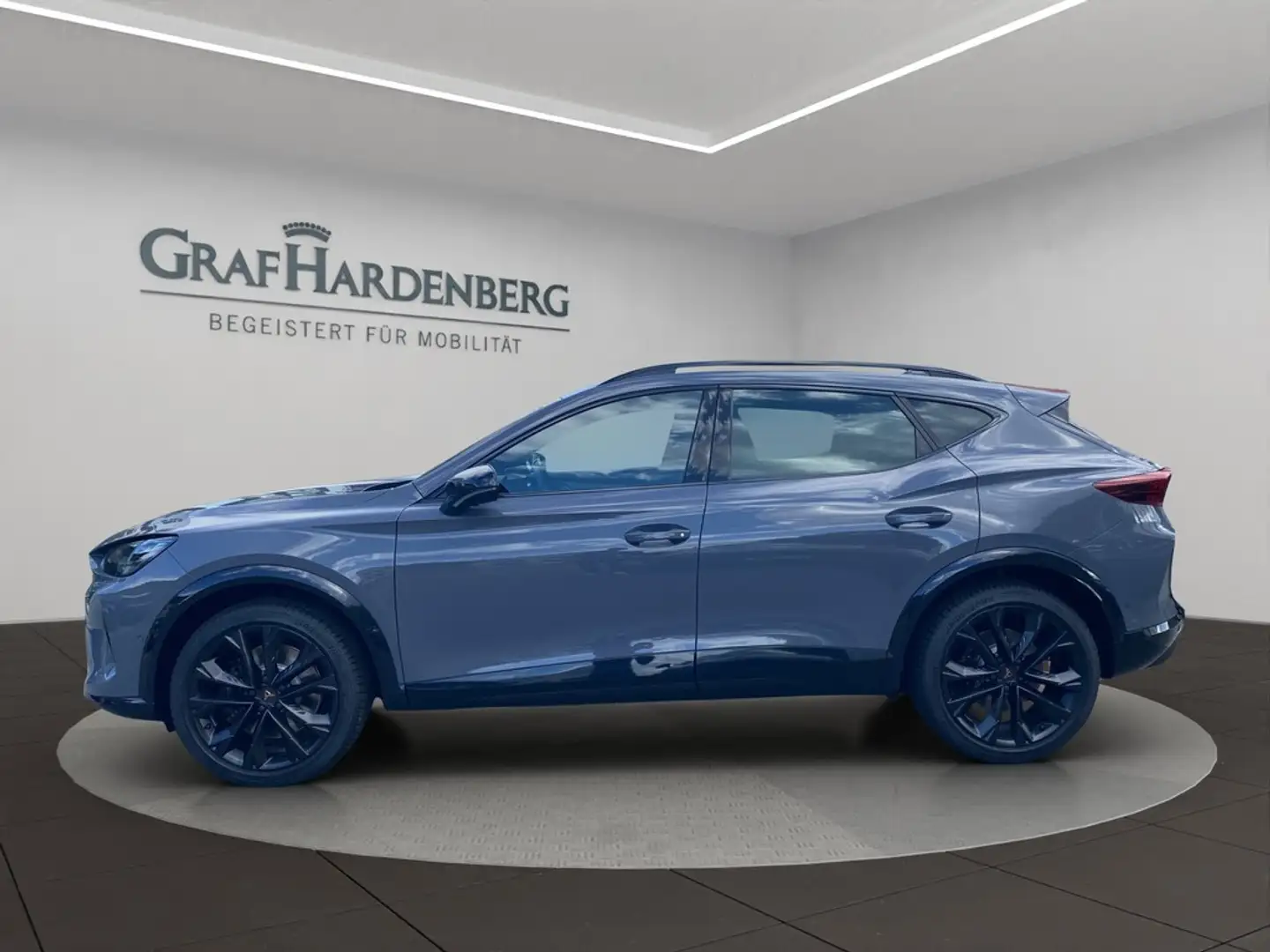 SEAT VZ 2.0 TSI 195 kW Grau - 2