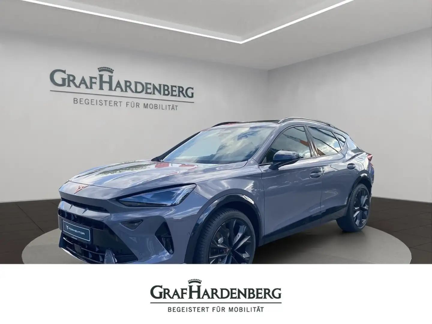 SEAT VZ 2.0 TSI 195 kW Grau - 1