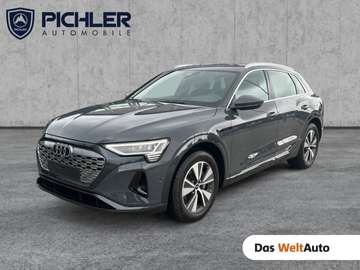 55 e-tron quattro business