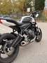 Triumph Trident 660 Weiß - thumbnail 2