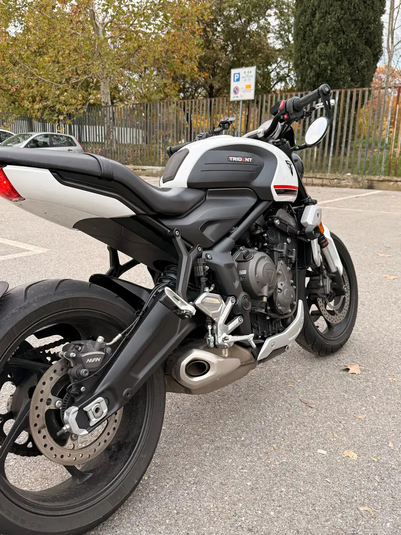 Triumph Trident 660 Bianco - 2