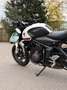 Triumph Trident 660 Weiß - thumbnail 6