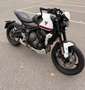 Triumph Trident 660 Weiß - thumbnail 10