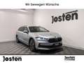 Skoda Superb Selection 2.0TDI DSG AHK Leder Infotainment LED Silber - thumbnail 1