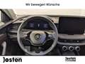 Skoda Superb Selection 2.0TDI DSG AHK Leder Infotainment LED Silber - thumbnail 10