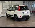 Fiat Panda 3ª serie 1.0 FireFly S&S Hybrid City Life Bianco - thumbnail 7