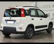 Fiat Panda 3ª serie 1.0 FireFly S&S Hybrid City Life Bianco - thumbnail 5