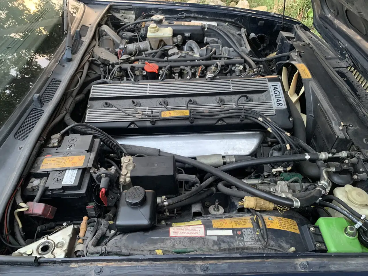 Jaguar XJ6 3.6 A, foto 5