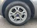 Ford Fiesta 1,0 EcoBoost 74kW Celebration+Winterräder Gris - thumbnail 13