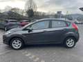 Ford Fiesta 1,0 EcoBoost 74kW Celebration+Winterräder Gris - thumbnail 9
