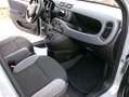 Fiat Panda Panda 1.0 hybrid Easy s Bianco - thumbnail 11