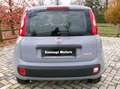 Fiat Panda Panda 1.0 hybrid Easy s Bianco - thumbnail 6