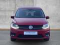 Volkswagen Caddy 2.0 TDI DSG Trendline XENON STANDHZG NAVI Rot - thumbnail 5
