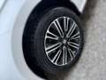 SEAT Ibiza Style Edition 1.0 TSI 10 Jahre Garantie Weiß - thumbnail 5