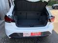 SEAT Ibiza Style Edition 1.0 TSI 10 Jahre Garantie Weiß - thumbnail 13