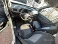 Fiat Doblo Fiat Doblo Doblò 1.3 MTJ 90 CV frigo 2011 Bianco - thumbnail 12