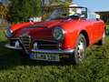 Alfa Romeo Giulia Giulia Spider*40 Jahre in einer Hand*Orig.Zustand* Rojo - thumbnail 1