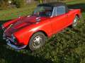 Alfa Romeo Giulia Giulia Spider*40 Jahre in einer Hand*Orig.Zustand* Rojo - thumbnail 21