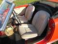 Alfa Romeo Giulia Giulia Spider*40 Jahre in einer Hand*Orig.Zustand* Rojo - thumbnail 13