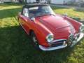 Alfa Romeo Giulia Giulia Spider*40 Jahre in einer Hand*Orig.Zustand* Rojo - thumbnail 24