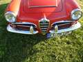 Alfa Romeo Giulia Giulia Spider*40 Jahre in einer Hand*Orig.Zustand* Rojo - thumbnail 7