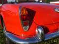 Alfa Romeo Giulia Giulia Spider*40 Jahre in einer Hand*Orig.Zustand* Rojo - thumbnail 4