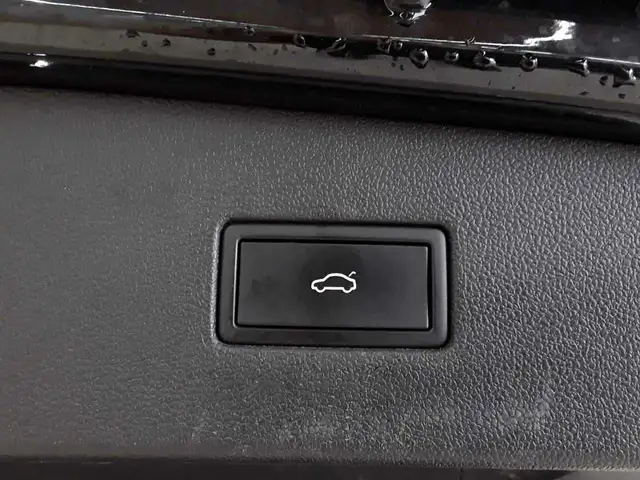 Volkswagen Tiguan view 19