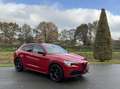 Alfa Romeo Stelvio 2.0t Q4 Veloce, my21, Super combinatie!! BTW Auto Rood - thumbnail 32