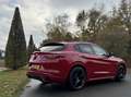 Alfa Romeo Stelvio 2.0t Q4 Veloce, my21, Super combinatie!! BTW Auto Rood - thumbnail 33