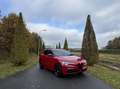 Alfa Romeo Stelvio 2.0t Q4 Veloce, my21, Super combinatie!! BTW Auto Rood - thumbnail 35