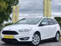 Ford Focus 1.5 TDCi / Clipper / Carplay Blanc - thumbnail 3