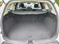 Ford Focus 1.5 TDCi / Clipper / Carplay Blanc - thumbnail 9