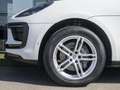 Porsche Macan Aut. Blanco - thumbnail 9