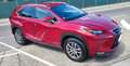 Lexus NX 300h Rot - thumbnail 3