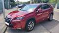 Lexus NX 300h Rot - thumbnail 1