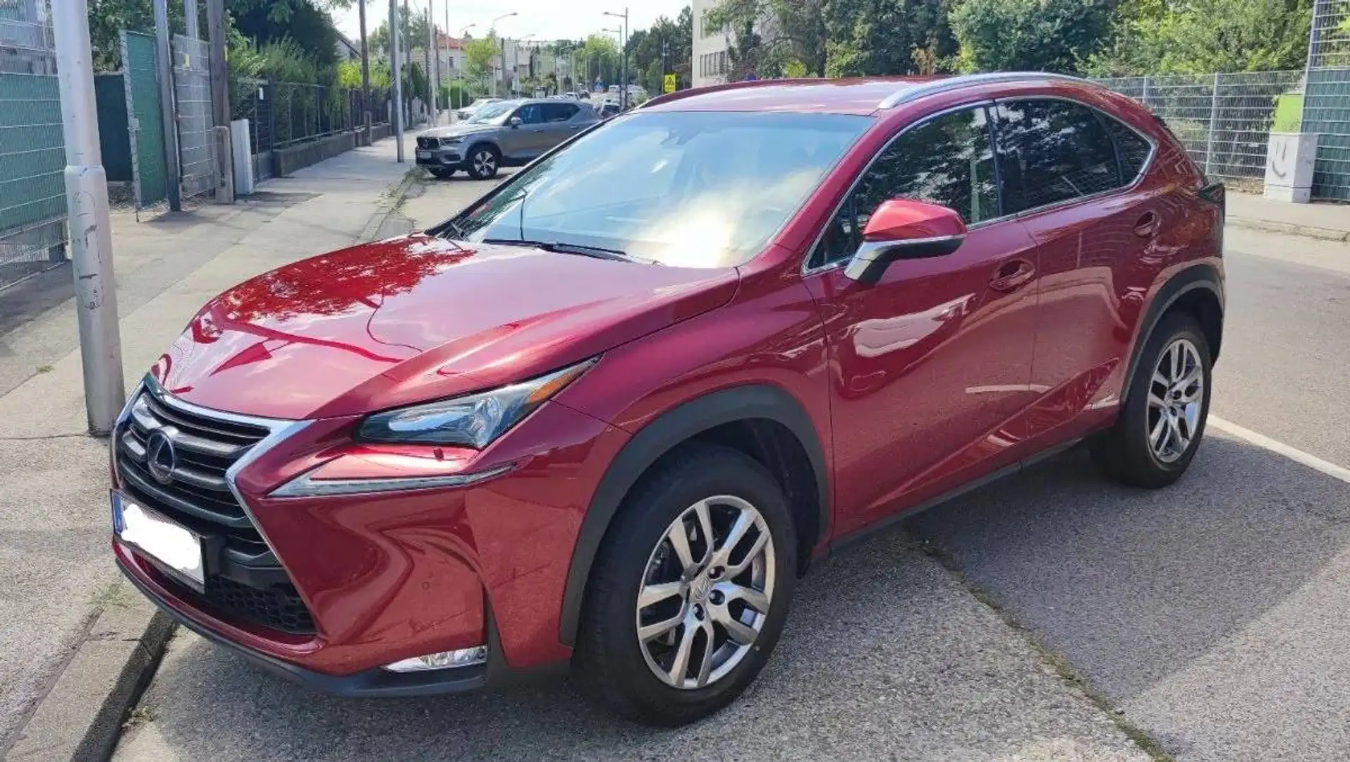 Lexus NX 300h Rot - 1