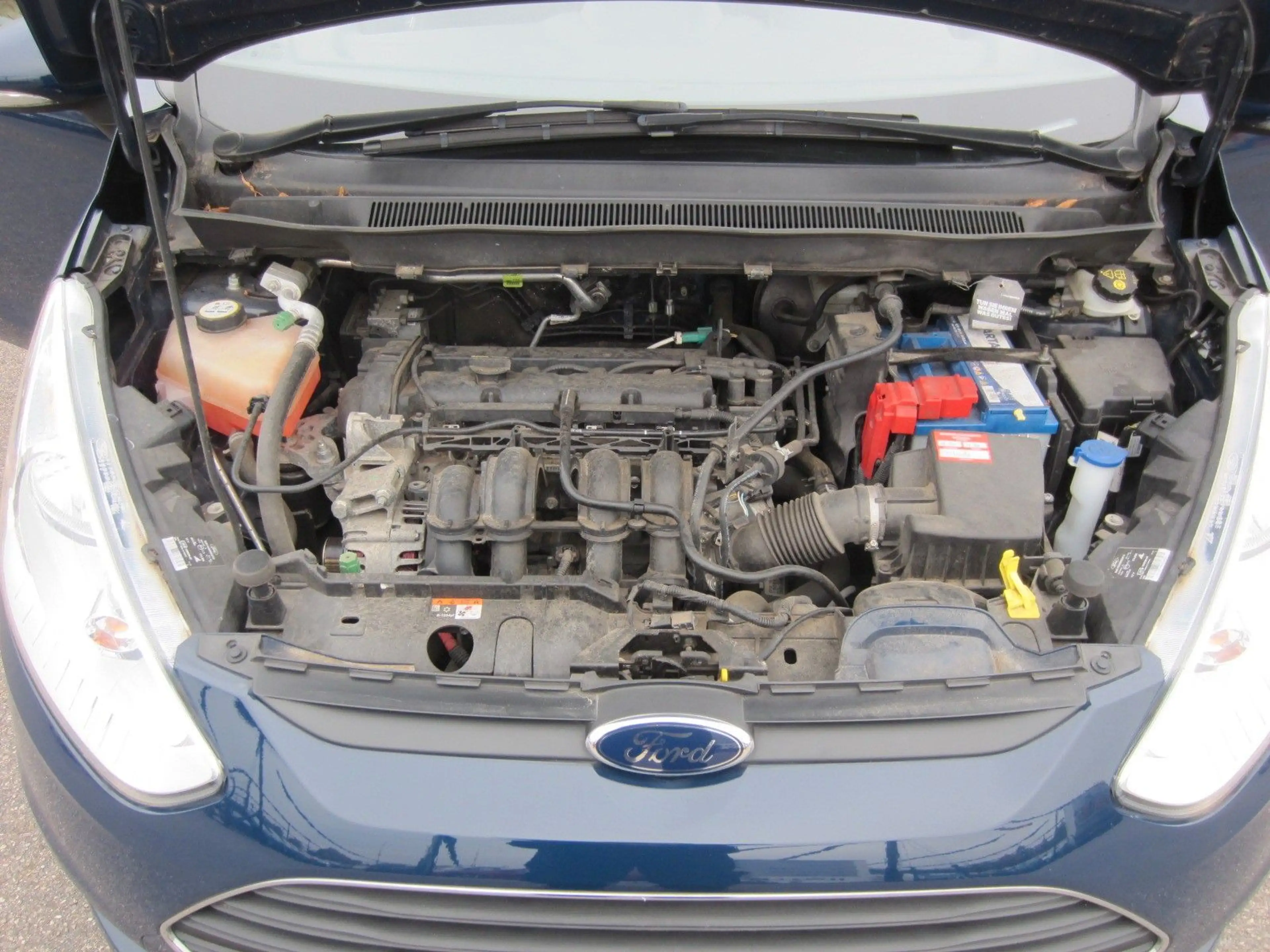 Ford B-Max B-MAX  1,4 Trend — photo 15