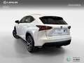 Lexus NX 300h 4WD WG F SPORT Blanco - thumbnail 2