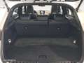 Lexus NX 300h 4WD WG F SPORT Blanco - thumbnail 10