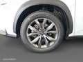 Lexus NX 300h 4WD WG F SPORT Blanco - thumbnail 19