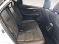 Lexus NX 300h 4WD WG F SPORT Blanco - thumbnail 7