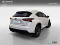 Lexus NX 300h 4WD WG F SPORT Blanco - thumbnail 20
