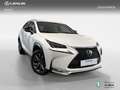 Lexus NX 300h 4WD WG F SPORT Blanco - thumbnail 22