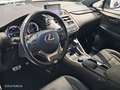 Lexus NX 300h 4WD WG F SPORT Blanco - thumbnail 12